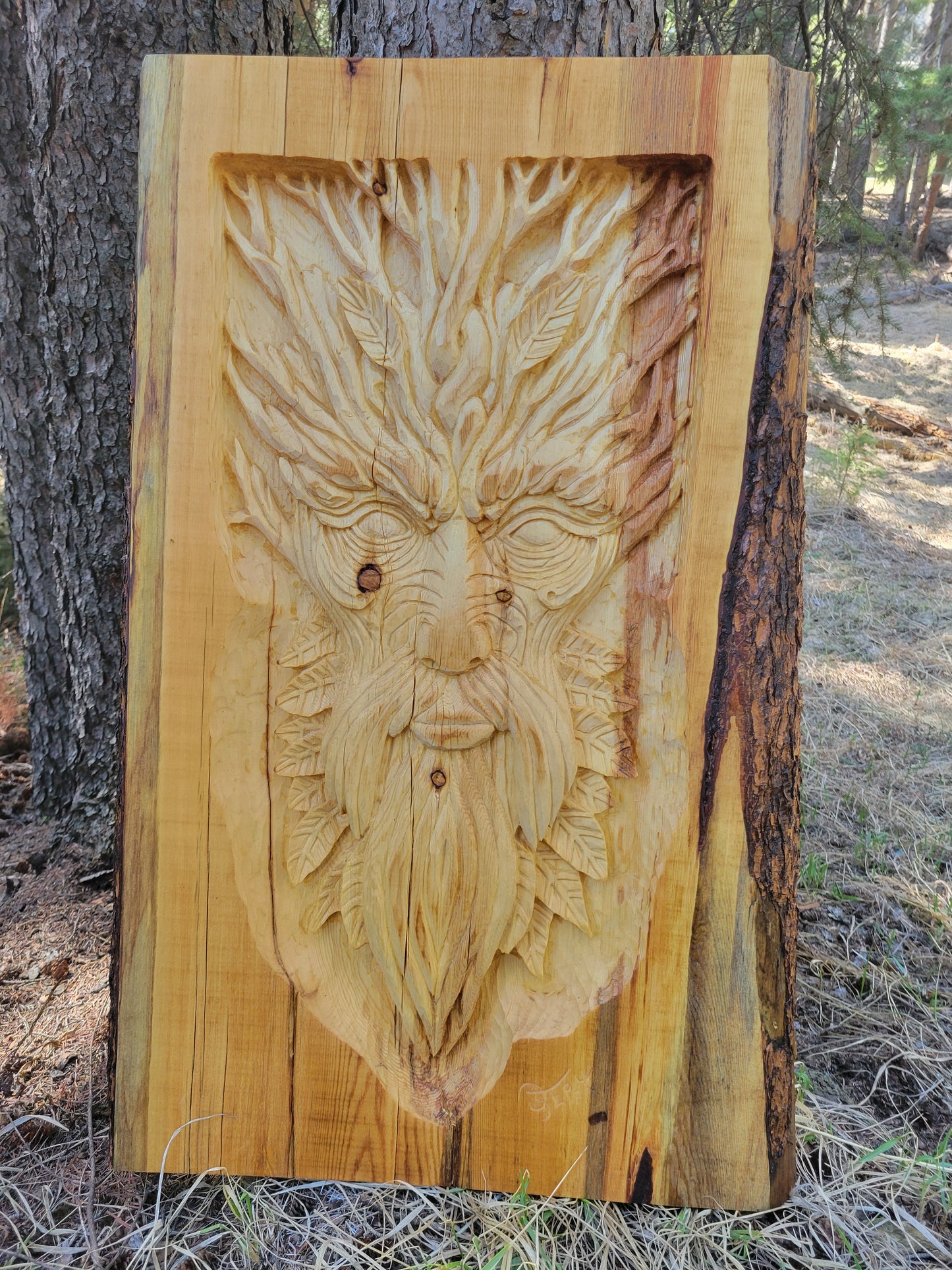 Forest Elder