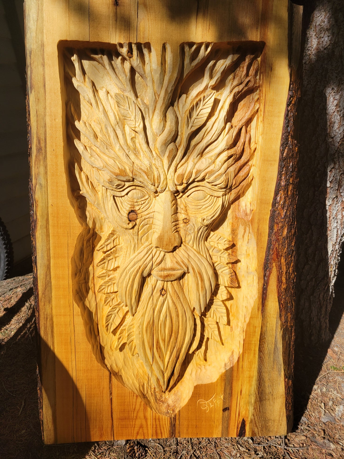 Forest Elder