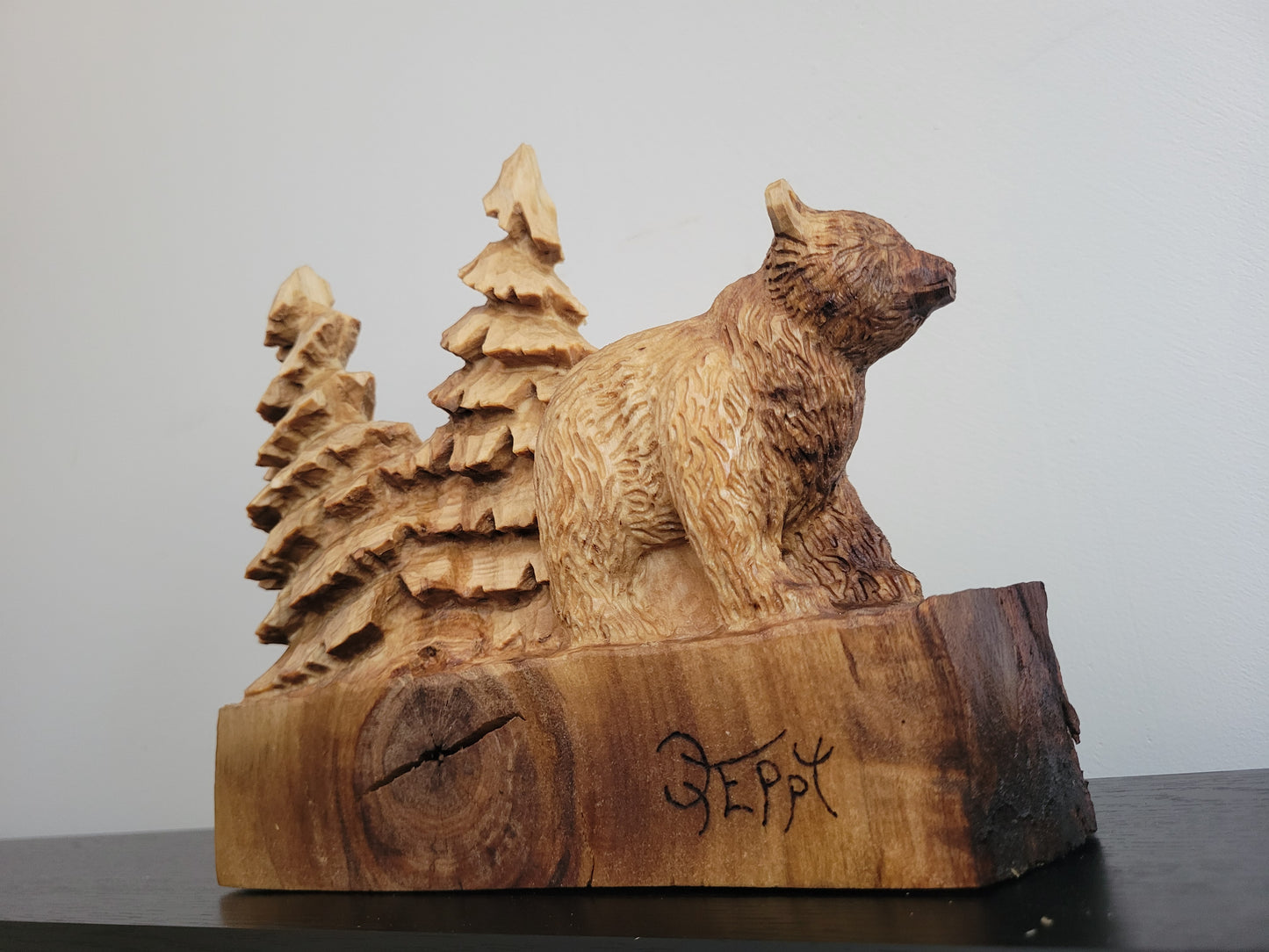 Wild bear