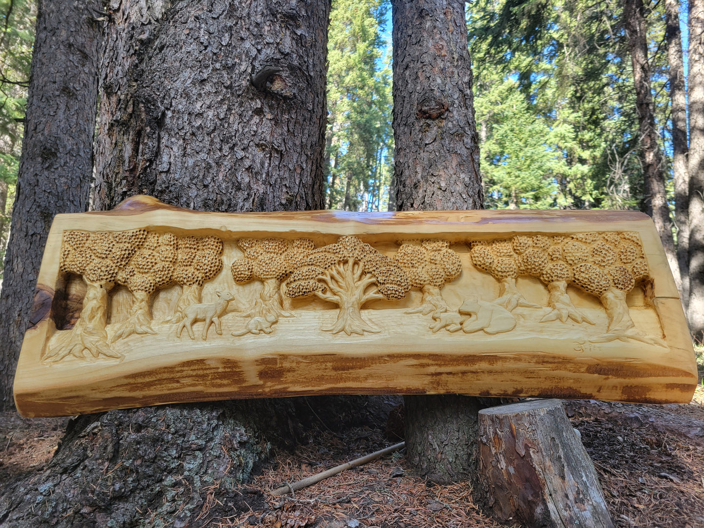 Heart of Nature